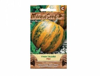 Tekvica, cuketa - semená - 16
