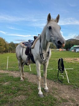 Ustajnenie v Lehote pod Vtáčnikom - 16
