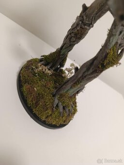 HANDMADE Figúrka Pán Prsteňov Stromobrad Treebeard 25cm LOTR - 16