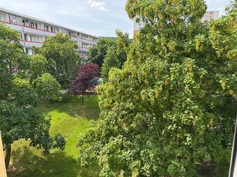4 ib 76,20 m² + loggia 10,38 m2 BA III Rača Kubačova - 16