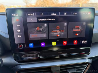 Cupra Formentor 1.5 TSI 150k DSG - 16