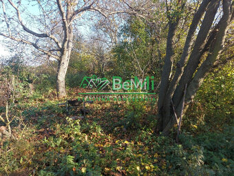 Predaj starší rodinný dom Vráble, NR (107-12-ERF) - 16