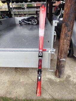 Predám lyže detské/dospelých - 16