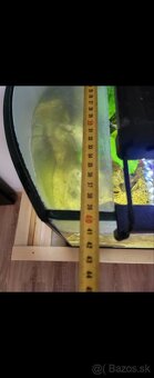 Predám panoramatické akvárium 200l, komplet alebo zvlášť - 16