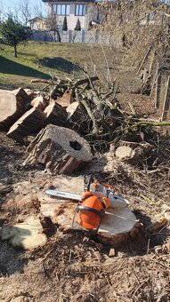 Rizikový výrub a orez stromov, kosenie a údržba pozemkov - 16