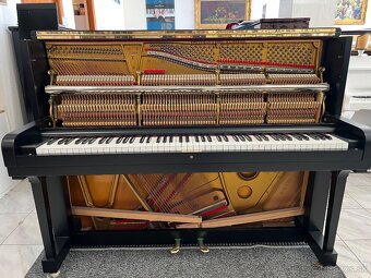 Steinway &Sons se zárukou 2 roky, doprava zdarma. - 16