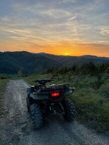 Kawasaki Brute Force 750 - 16