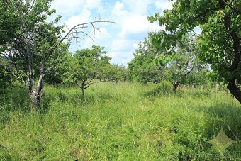 Priestranná chalupa na rekonštrukciu s vyše 30-árovým pozemk - 16