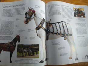Obrazová encyklopedie koní (česky) - 20 eur - 16