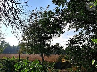 HALO reality - Predaj, rodinný dom Radošovce, na sezónne i t - 16