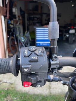 Triumph Trident 660 A2 - 16