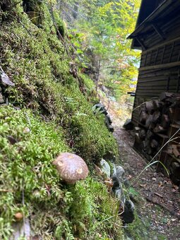 Predaj chaty v Nízkych Tatrách - 16