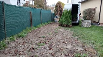 Tuja Smaragd, vavrínovec, červienka, gaštan - Prešov - 16