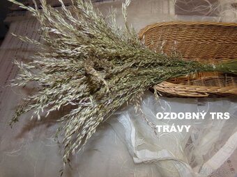 SUŠENÉ KVETY, ŠIŠKY , ŹALUDE, LIESKA, GAŠTAN do dekorácií - 16