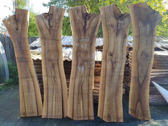 Predám foršne - 16