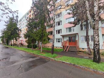 PREDAJ trojizbový byt v centre mesta - 16