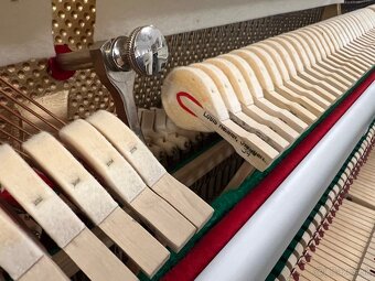 Petrof P125 v záruce, doprava je možná - 16