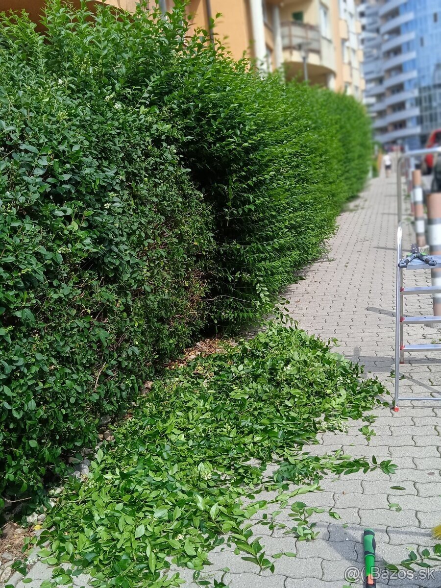 Udržbárské práce pre bytové a nebytové domy v BA . - 17