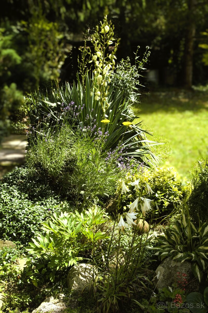 8 árový pozemok s chatou. - 17