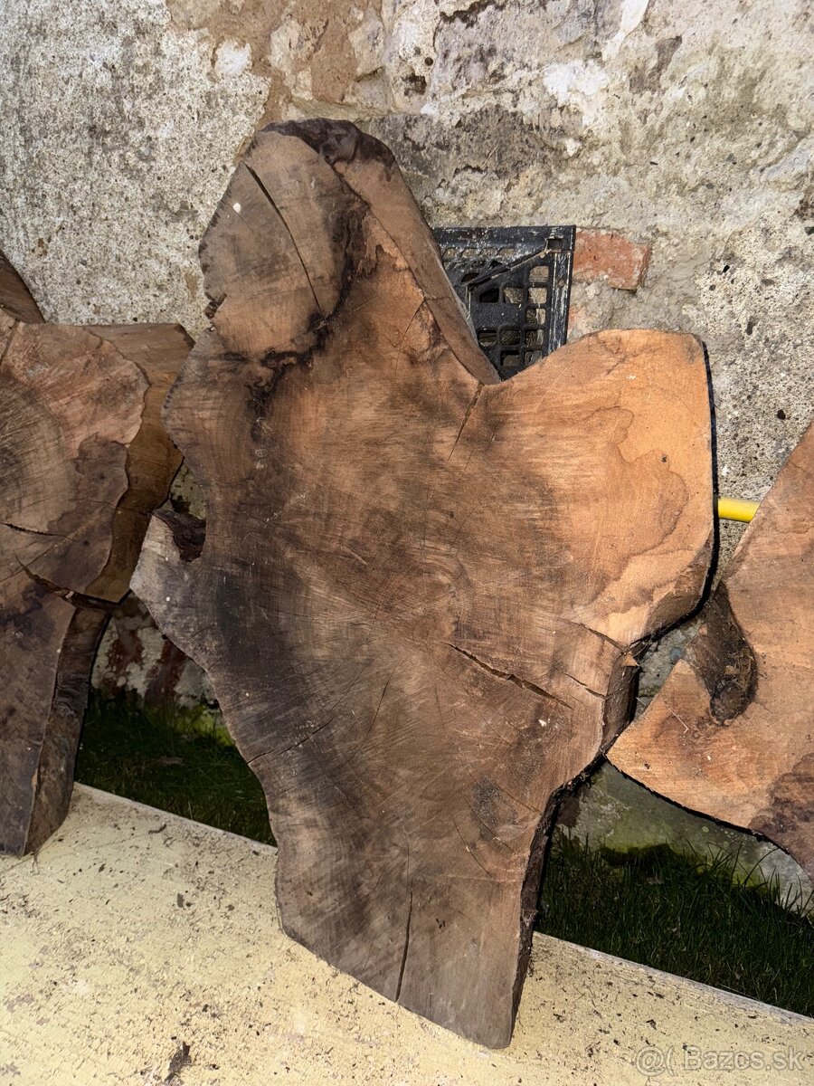 Orechove rezivo - 17