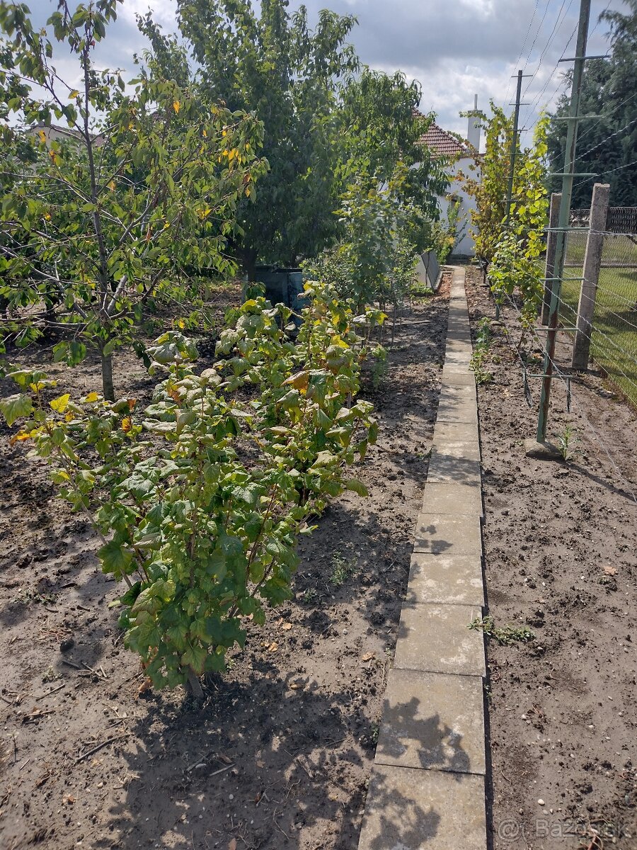 Rodinný dom Kráľová pri Senci - 17