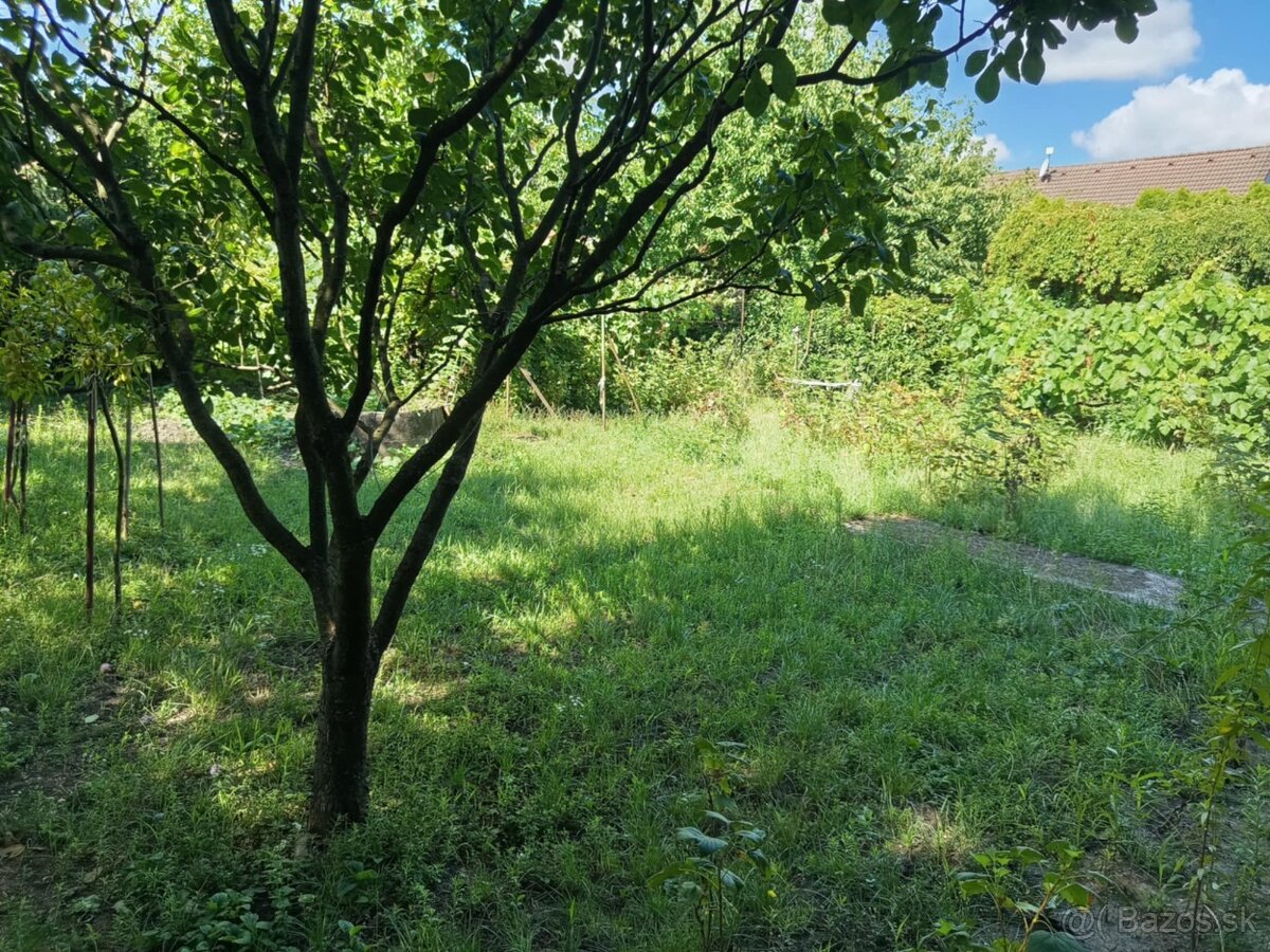 NA predaj rodinný dom v úplnom centre mesta LEvice - 17