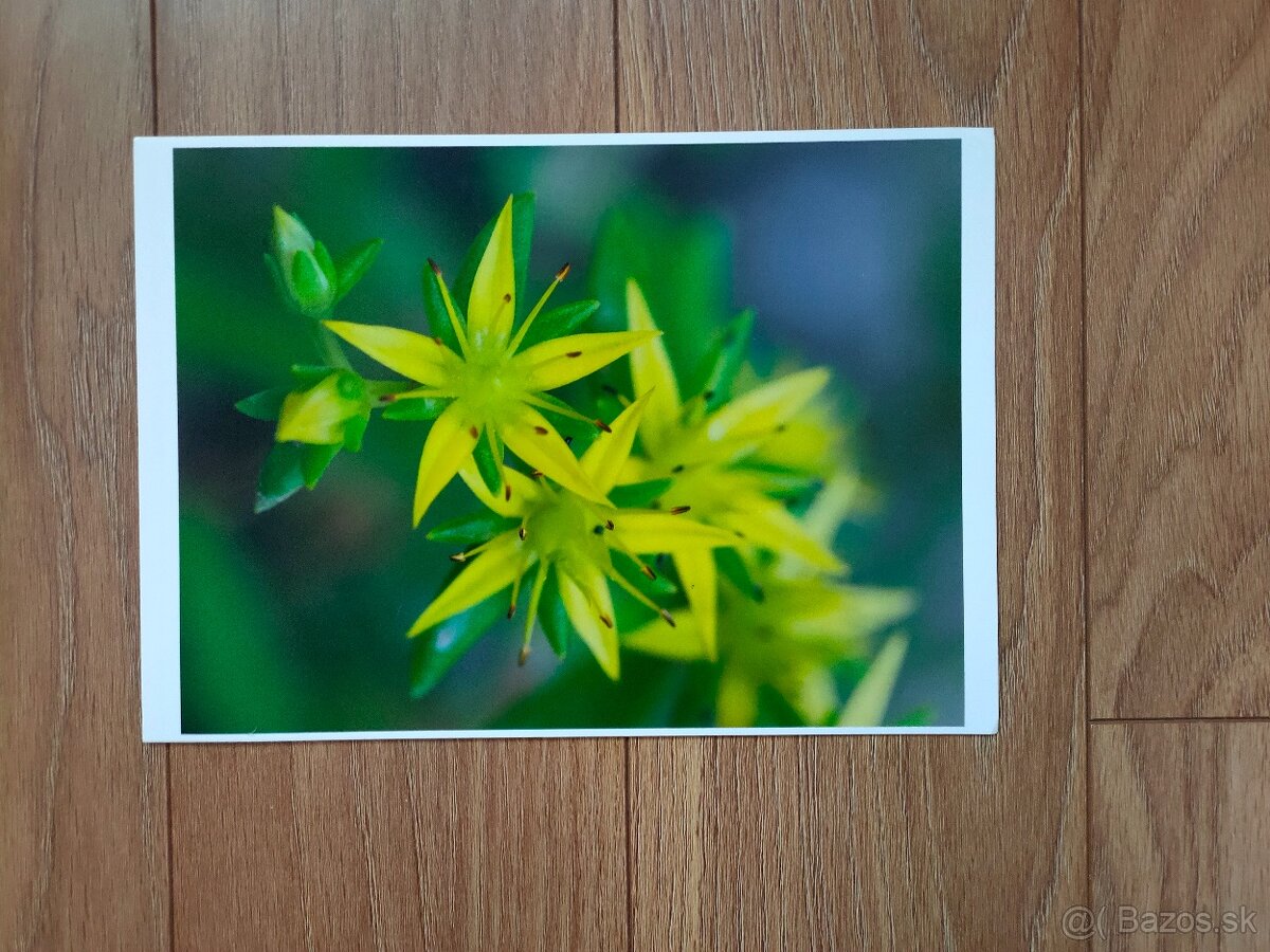 Čiapky,rukavice,čelenky,mikinky - 17