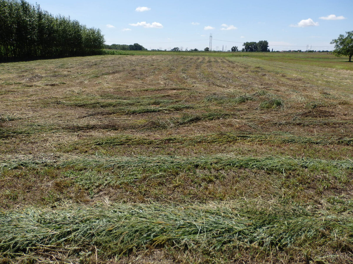 Na predaj 3 izbový rodinný dom v obci Šúrovce okr.Trnava - 17