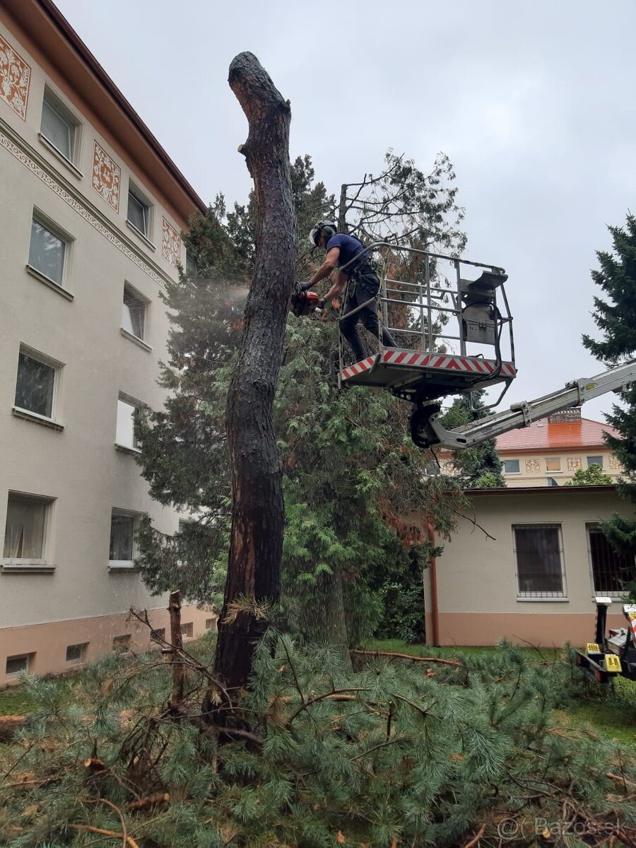 Pílenie stromov, arboristika, výrub stromov, orez stromov - 17