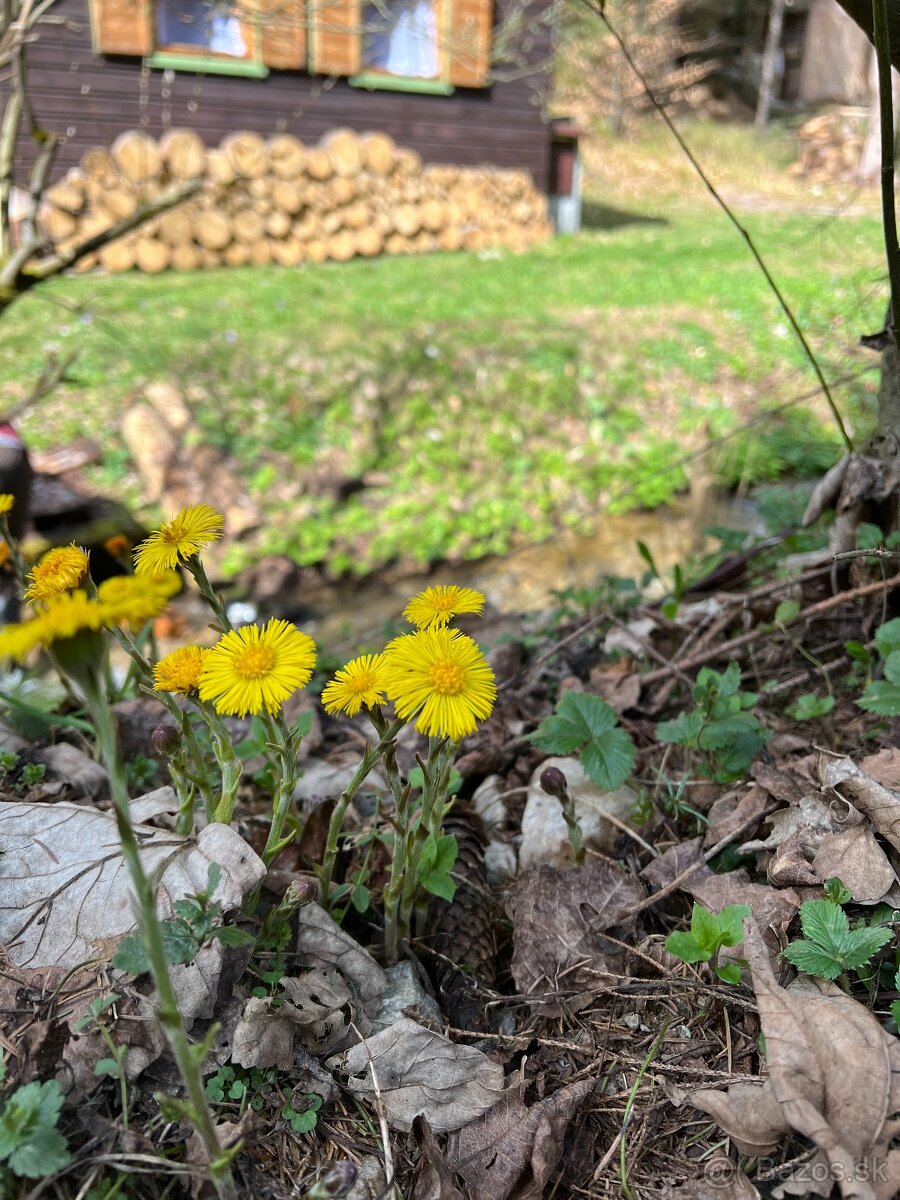 Predám chatu v Nízkych Tatrách - 17