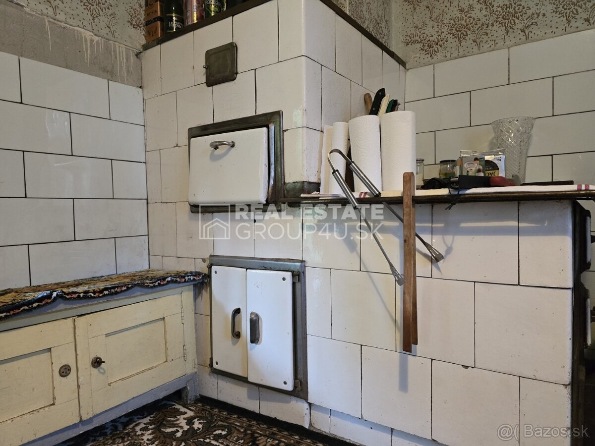 DREVENICA V HORSKOM PROSTREDÍ JAVORNÍKOV - 17