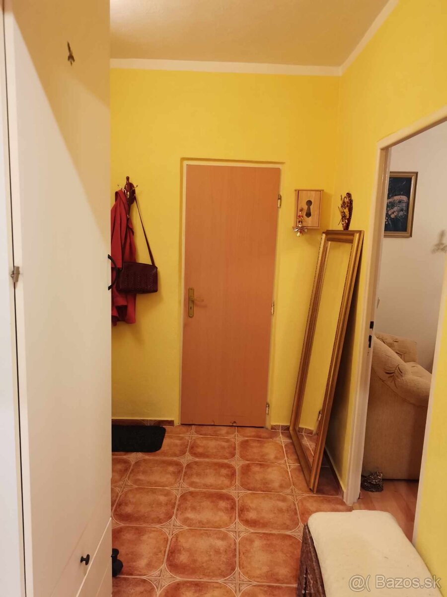 Veľký, 2 izbový, loggia - 17