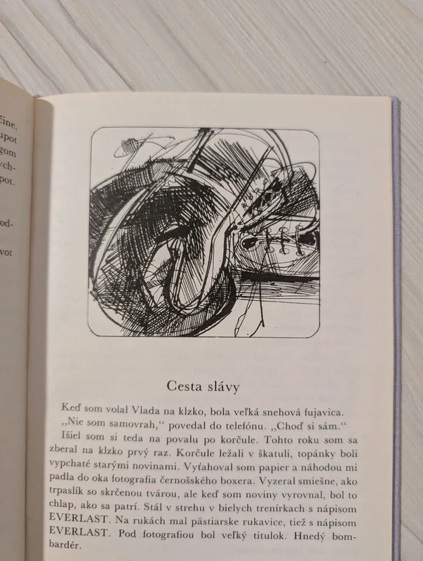 "Makovník plechom obitý" Miťo Vitéz - Kniha s obrázkami - 17