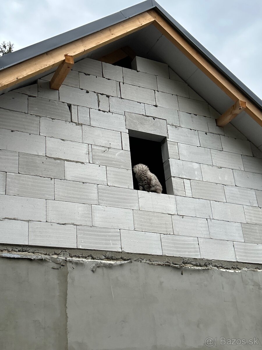 Kompletné stavebné, murárske a podlahárske práce - 17