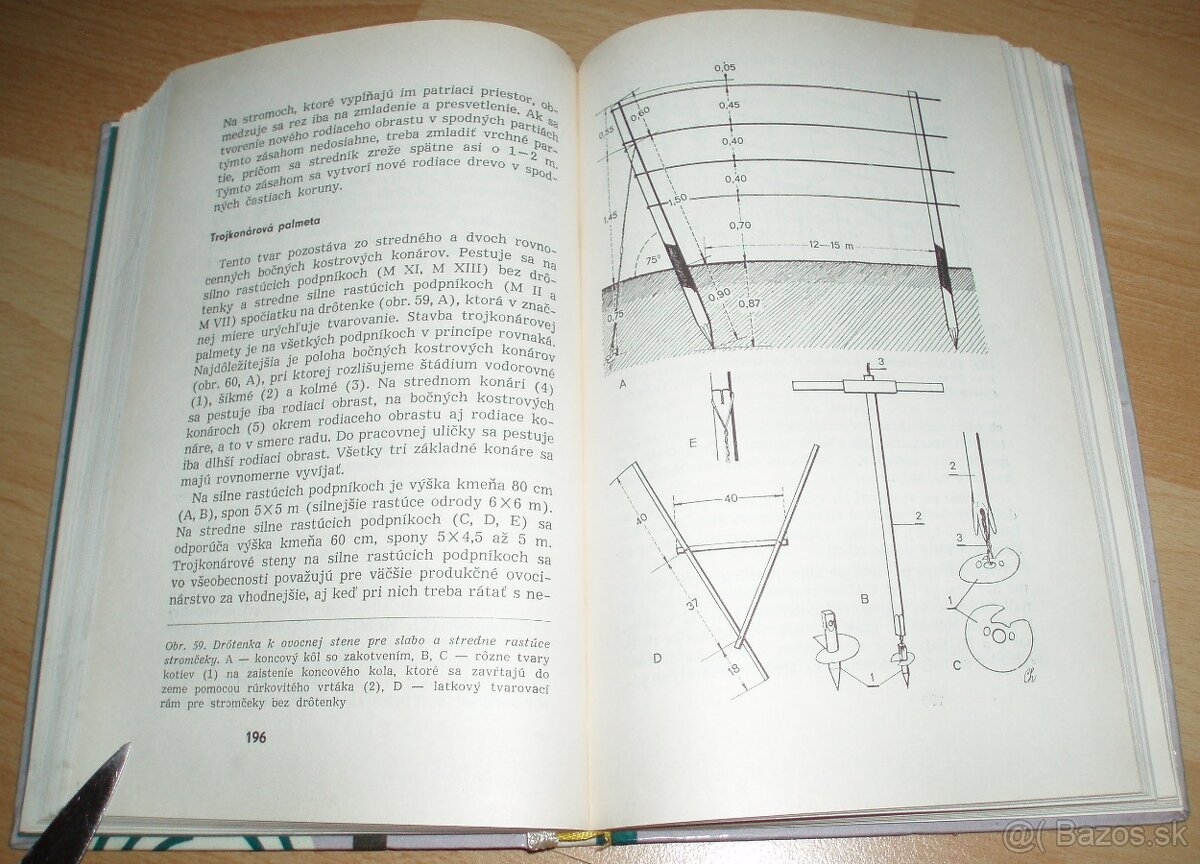 Rez a tvarovanie ovocných drevín - 17