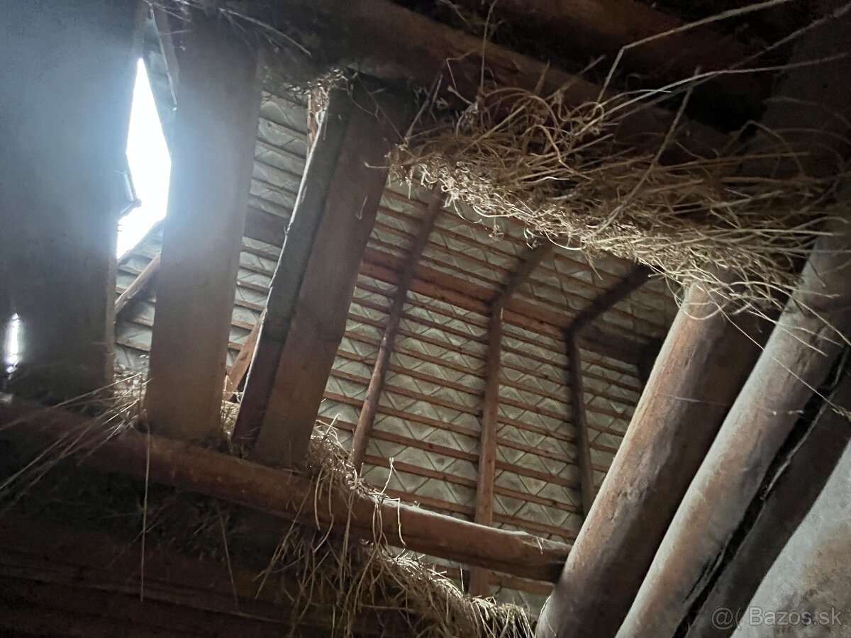 Stare drevo na predaj - 17