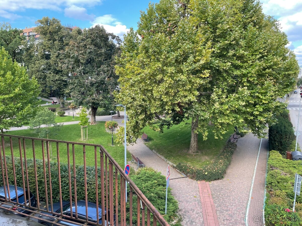 Prenajom velkeho 2 izboveho bytu Zilina centrum - 17