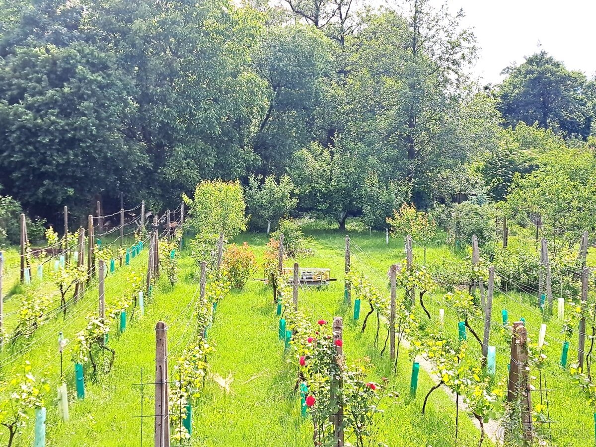 PREDAJ- RD v obci Cífer - Novostavba - 17