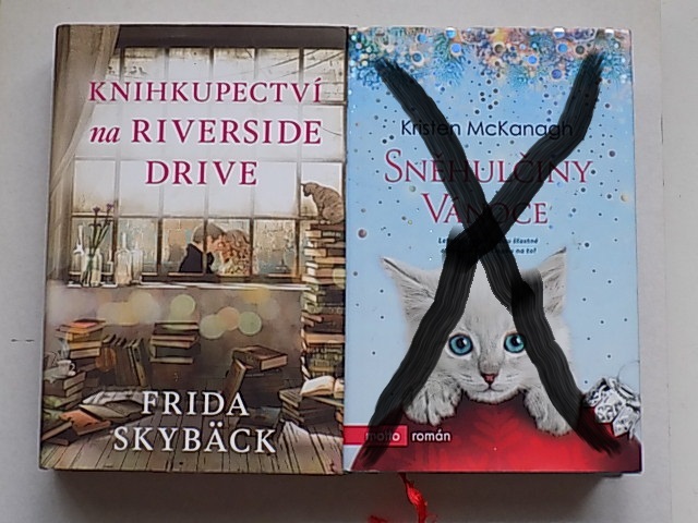 Romantika - Penelope Ward+J.R.Ward+Lauren+Towle a iný - 17