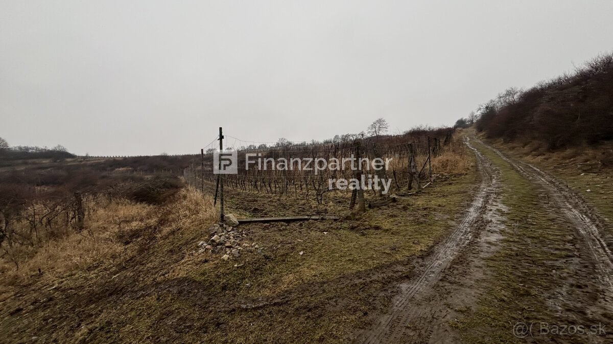 REZERVOVANÉ - Vinohrad 1862 m², v meste Pezinok + 3D - 17