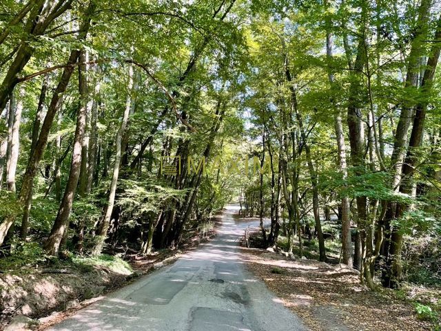 Celoročne obývateľná chata Domček zázrakov v Kučišdorfskej d - 17