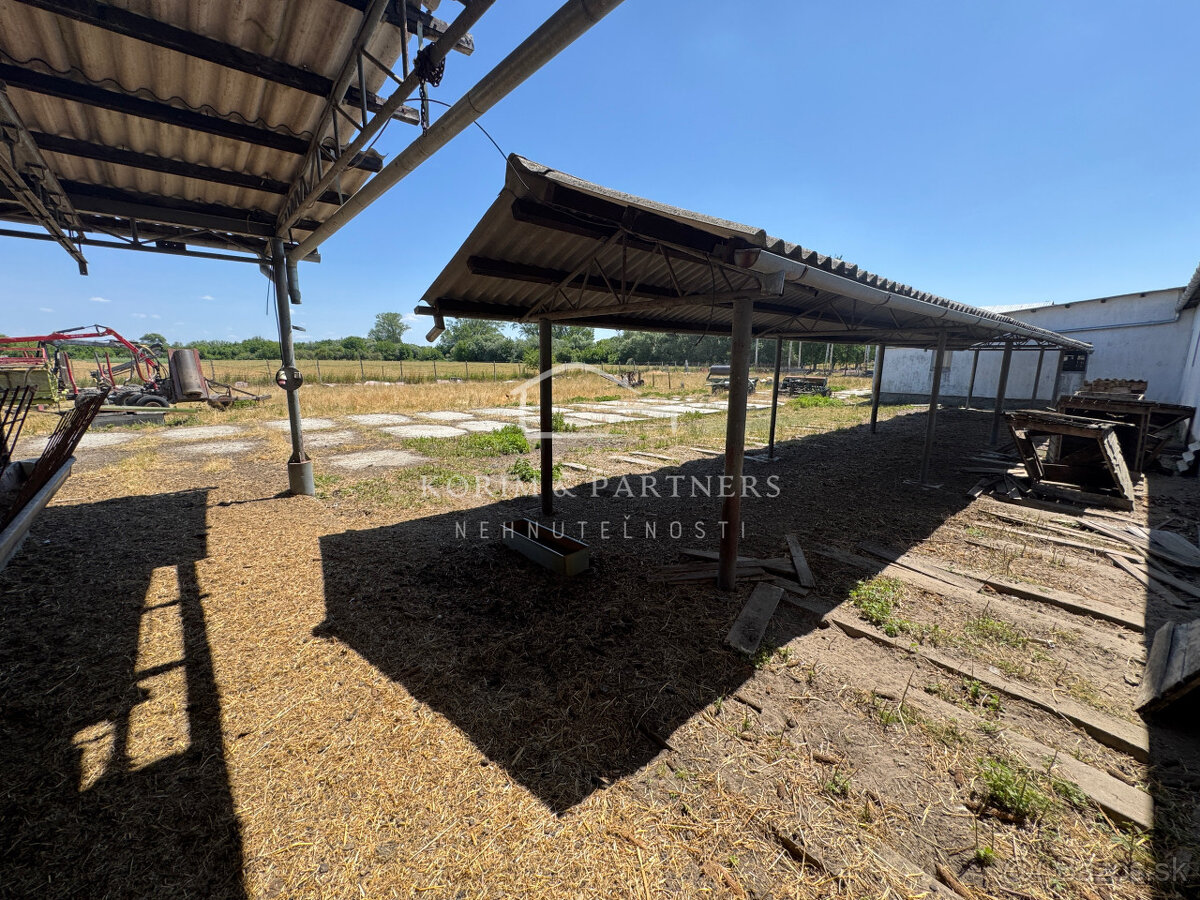 NOVINKA - Rodinná farma na vyše 2,5 hektároch pri Komárne - 17
