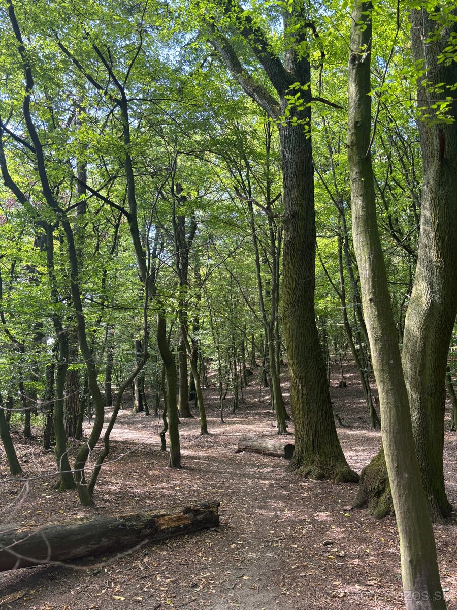 Prenájom moderného 2-izbového bytu - 17