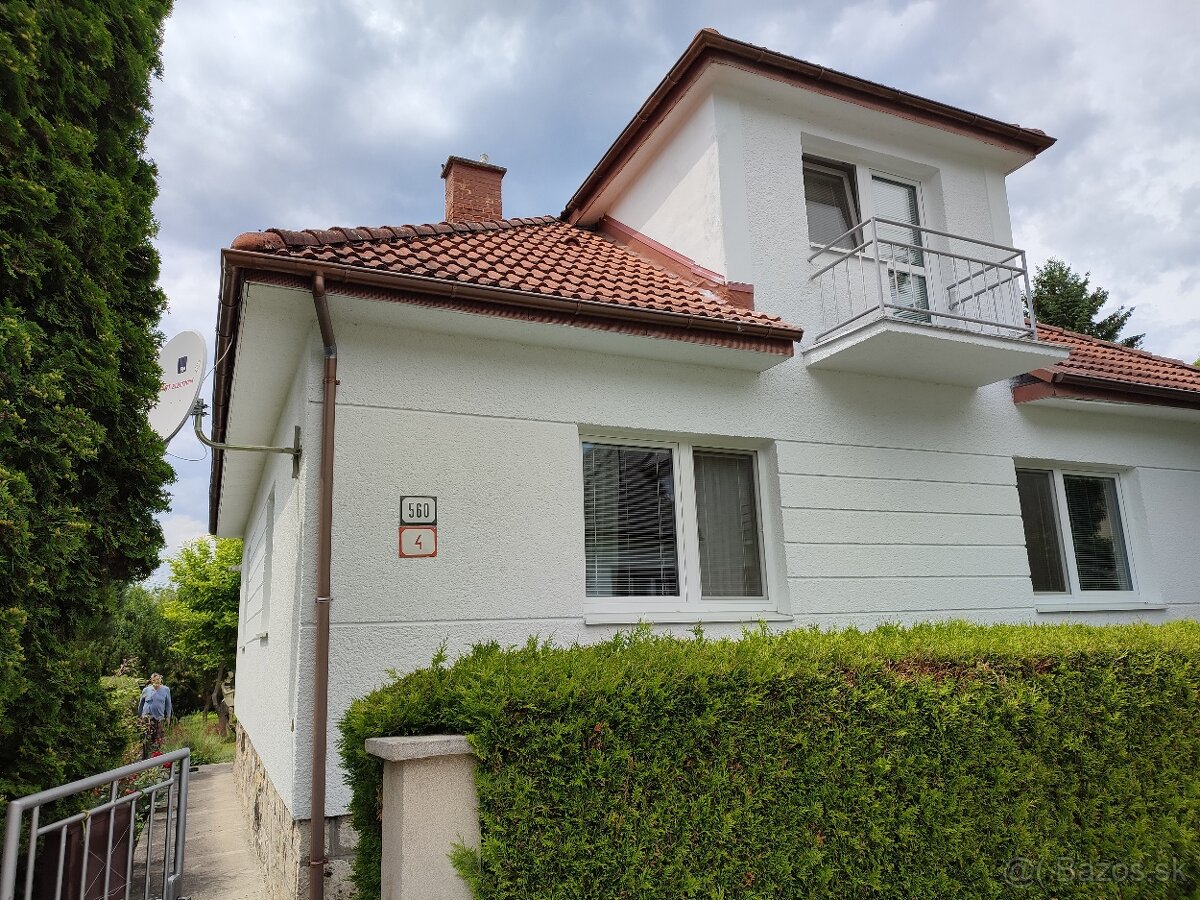 Maliar,maliarske prace,malovanie - 17