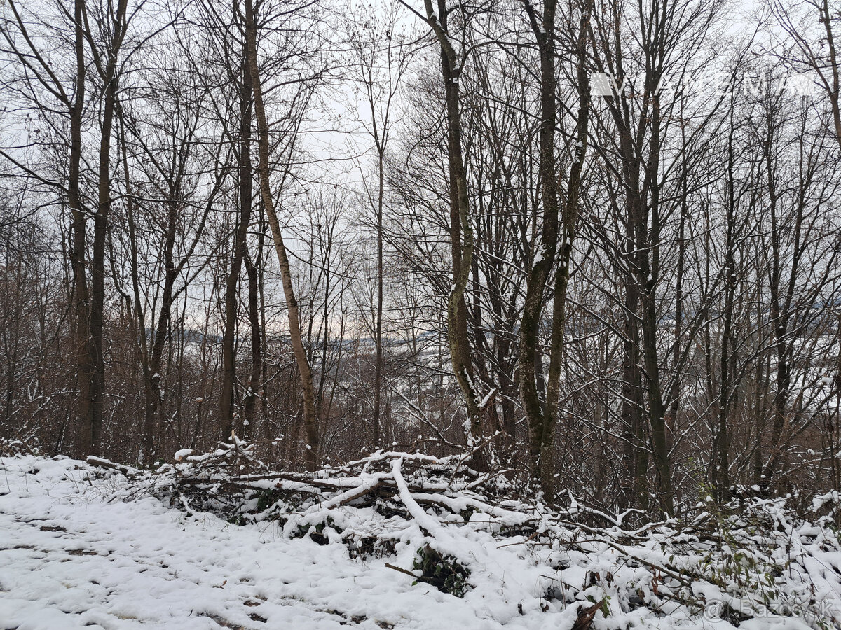 IBA U NÁS Chalupa v prírode pod lesom - Kvašov,okres Púchov - 17