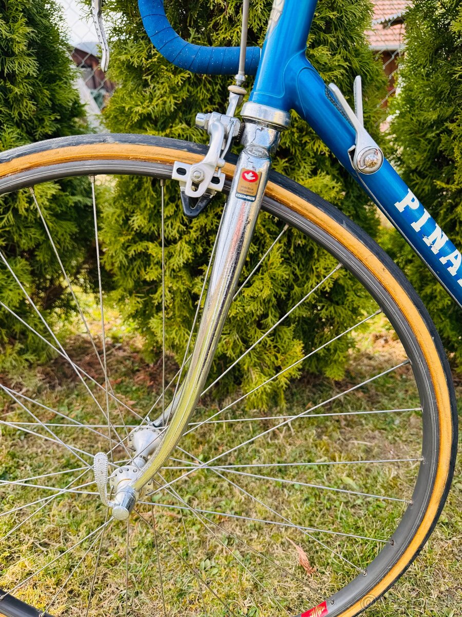 Pinarello “Veggerby” - 17