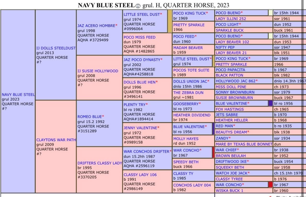 APH QH ZREBCE PRIPUSTANIE 2026 - 17