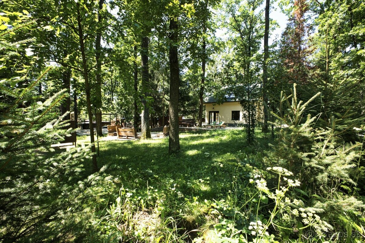 Rekreačná chata v srdci prírody, len kúsok od priehrady Roho - 17