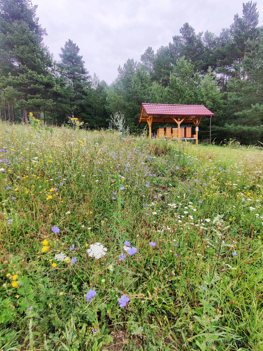 Domáci včelí med z Turčianskej záhradky - 17