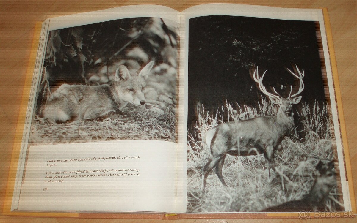 Povídání s liškou - 17